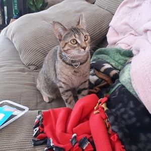 Meet your Posher, Martha